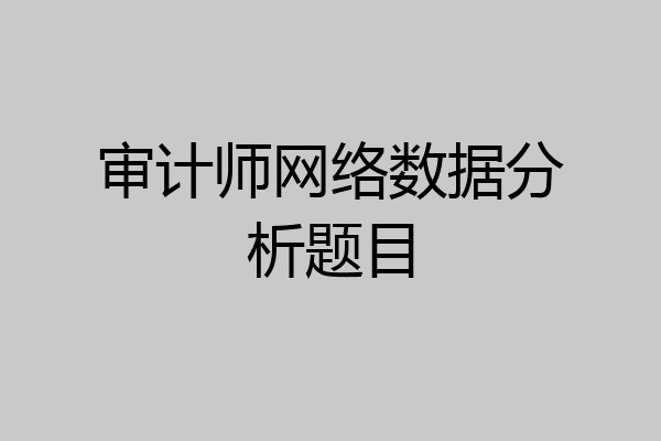审计师网络数据分析题目