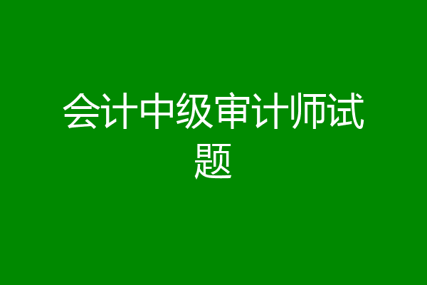 会计中级审计师试题