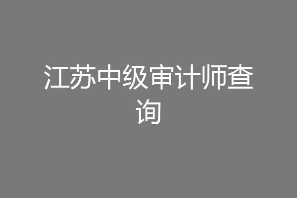 江苏中级审计师查询