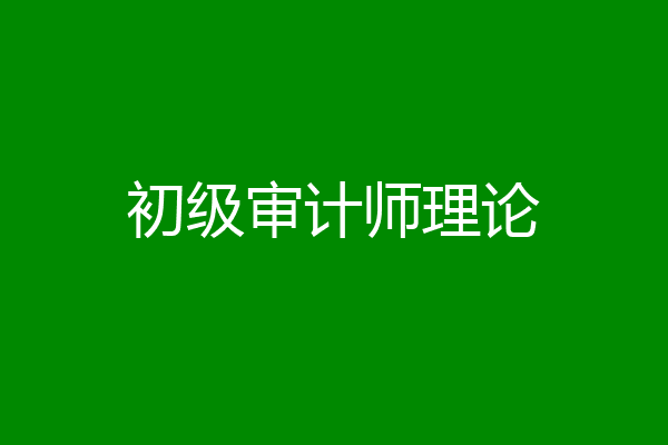 初级审计师理论