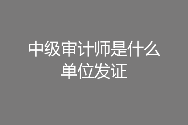 中级审计师是什么单位发证