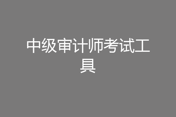 中级审计师考试工具