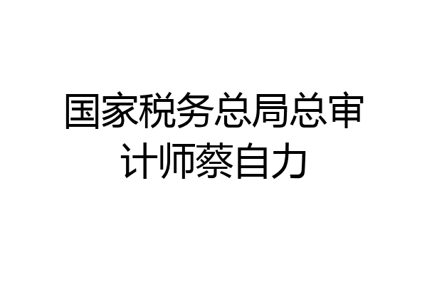 国家税务总局总审计师蔡自力