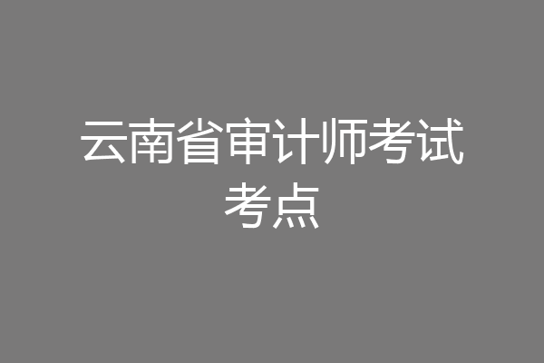 云南省审计师考试考点