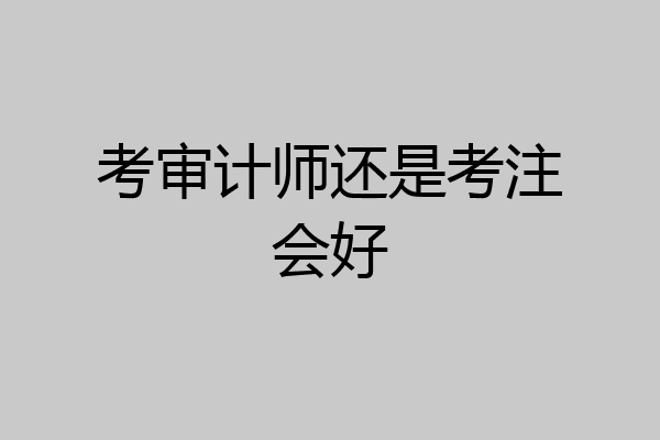 考审计师还是考注会好