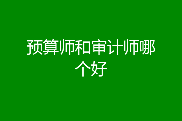 预算师和审计师哪个好