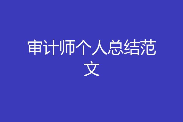 审计师个人总结范文