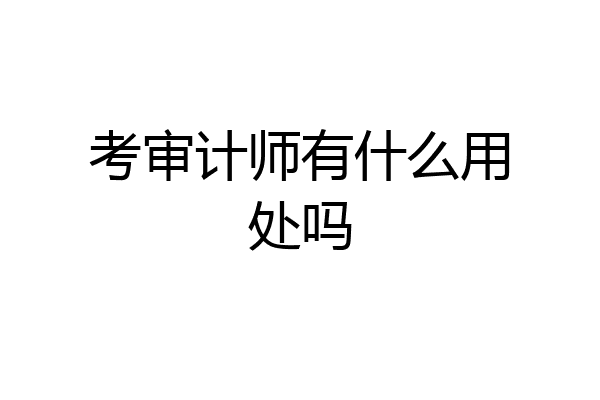 考审计师有什么用处吗