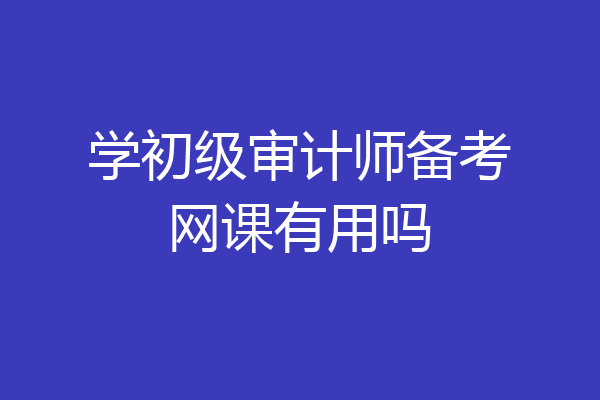 学初级审计师备考网课有用吗