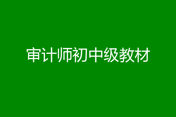 审计师初中级教材