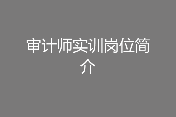审计师实训岗位简介