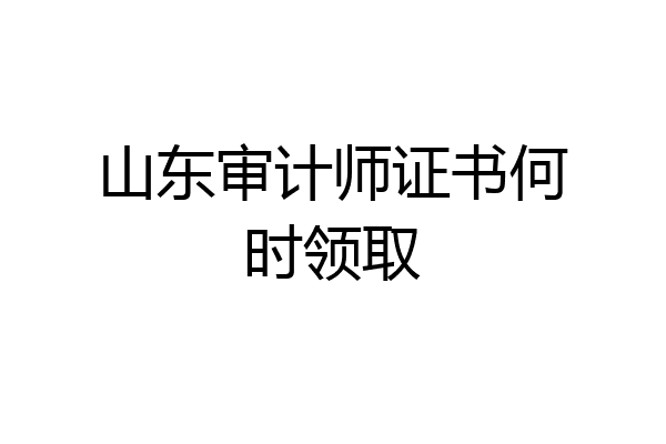 山东审计师证书何时领取