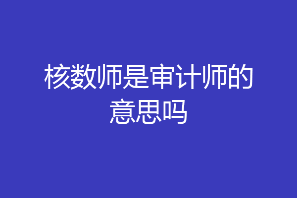 核数师是审计师的意思吗