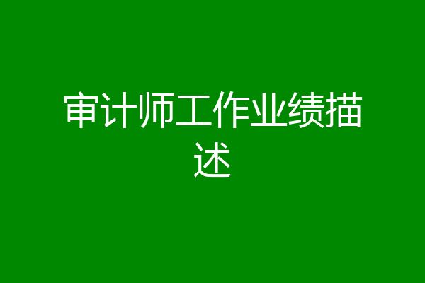 审计师工作业绩描述
