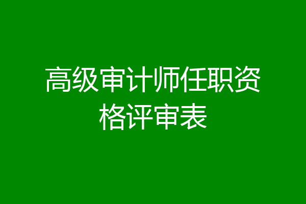 高级审计师任职资格评审表