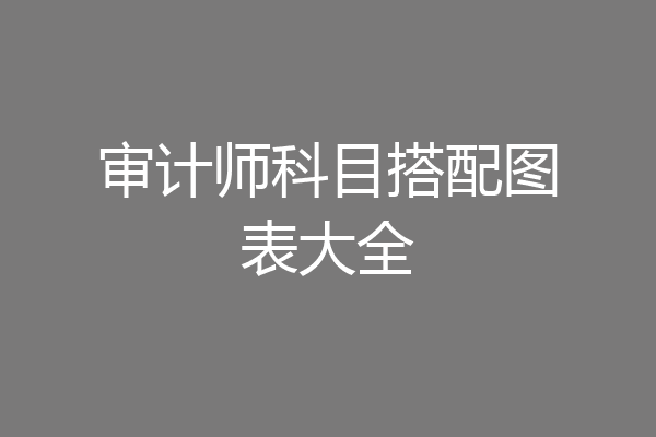 审计师科目搭配图表大全