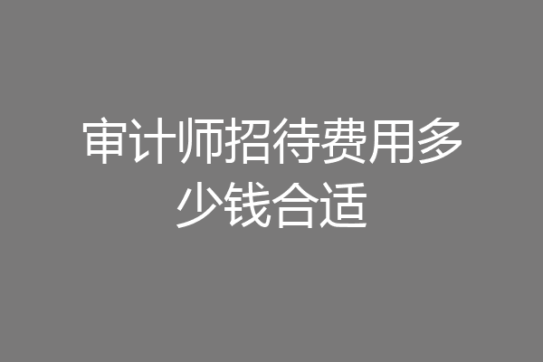审计师招待费用多少钱合适