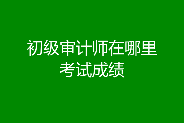 初级审计师在哪里考试成绩
