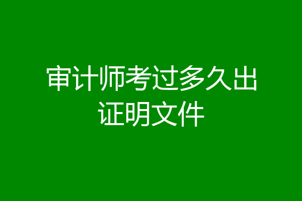 审计师考过多久出证明文件