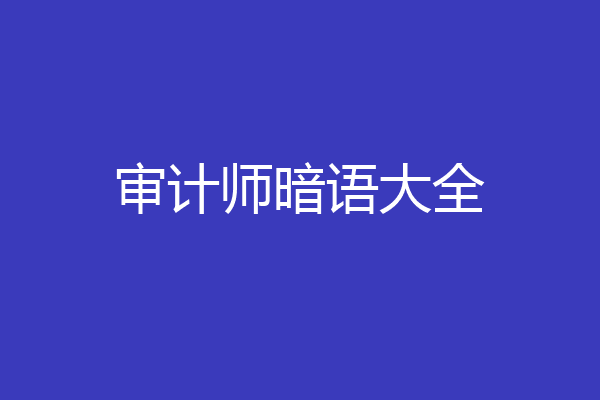 审计师暗语大全