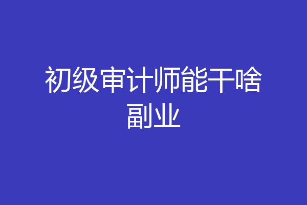 初级审计师能干啥副业