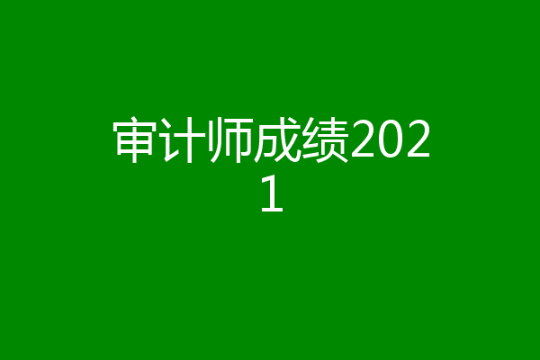 审计师成绩2021