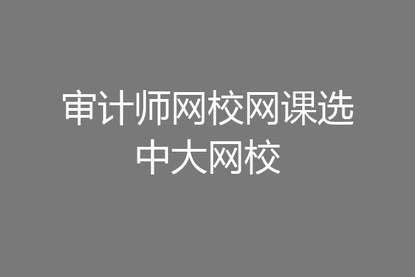 审计师网校网课选中大网校