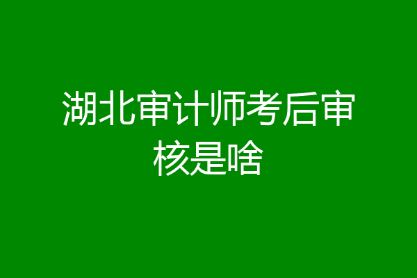 湖北审计师考后审核是啥