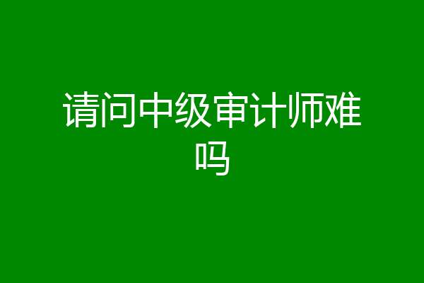 请问中级审计师难吗
