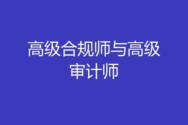 高级合规师与高级审计师