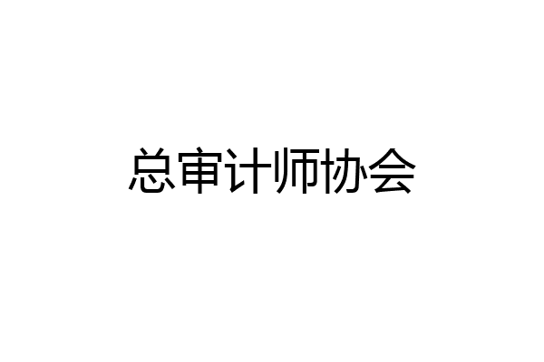 总审计师协会
