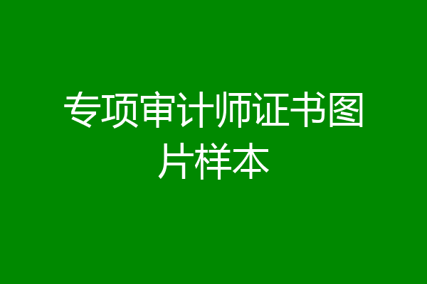 专项审计师证书图片样本