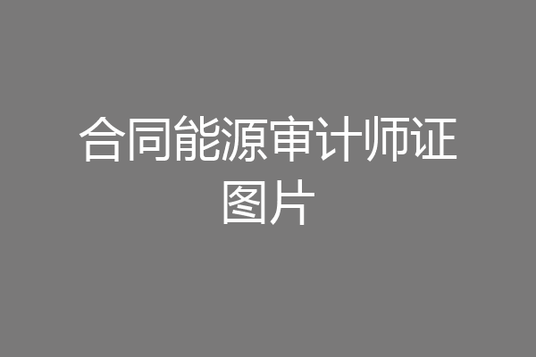 合同能源审计师证图片