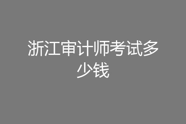 浙江审计师考试多少钱