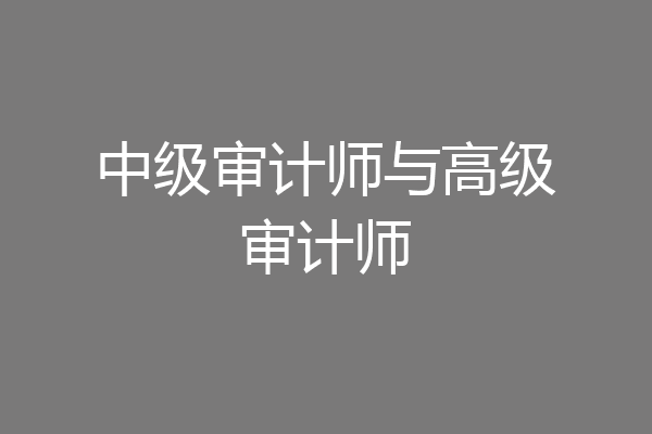中级审计师与高级审计师