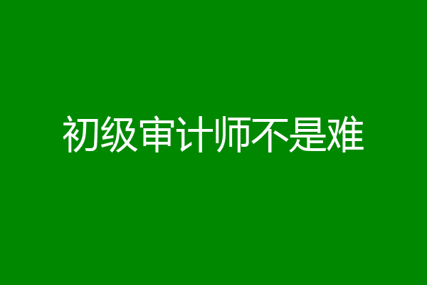 初级审计师不是难