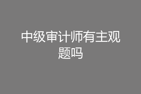 中级审计师有主观题吗