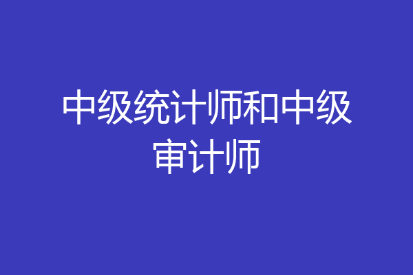 中级统计师和中级审计师
