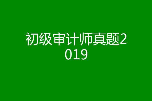 初级审计师真题2019
