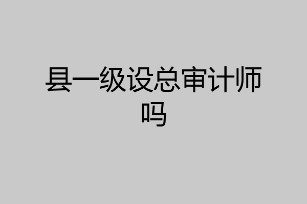县一级设总审计师吗