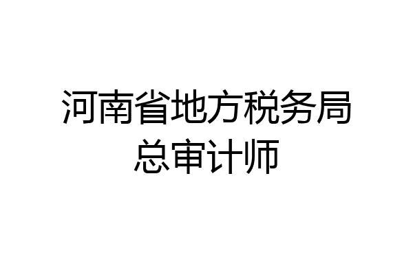 河南省地方税务局总审计师