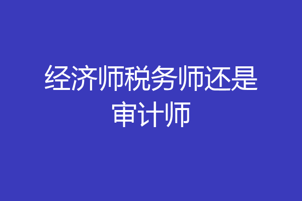 经济师税务师还是审计师