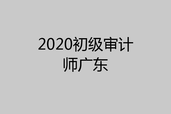 2020初级审计师广东