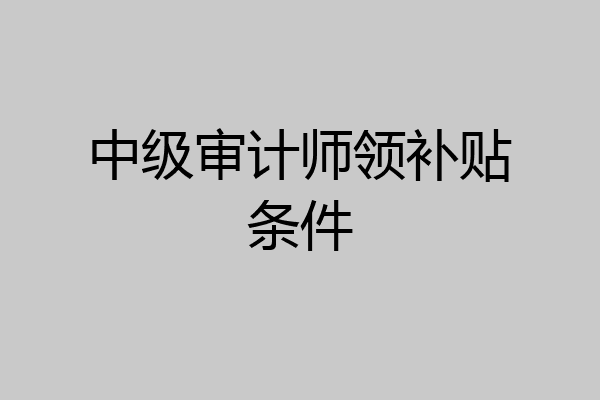 中级审计师领补贴条件