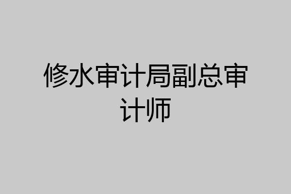 修水审计局副总审计师