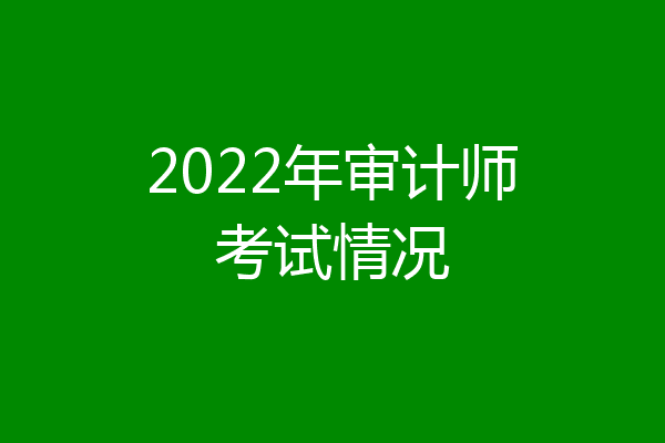 2022年审计师考试情况