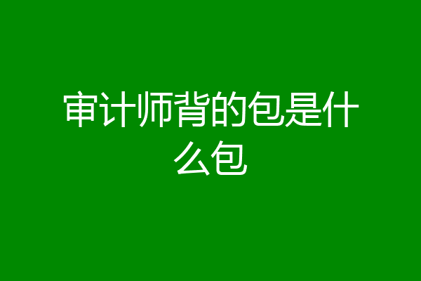 审计师背的包是什么包