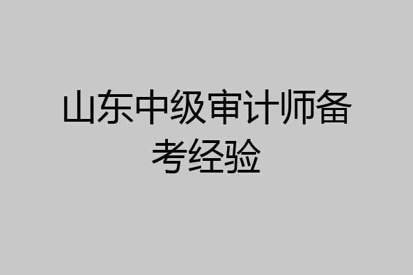 山东中级审计师备考经验