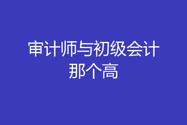 审计师与初级会计那个高