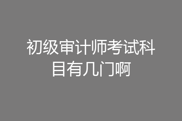 初级审计师考试科目有几门啊